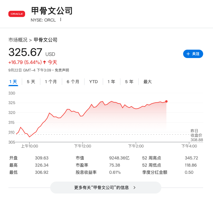 甲骨文重大人事调整：双CEO接棒，Safra Catz转任副主席
