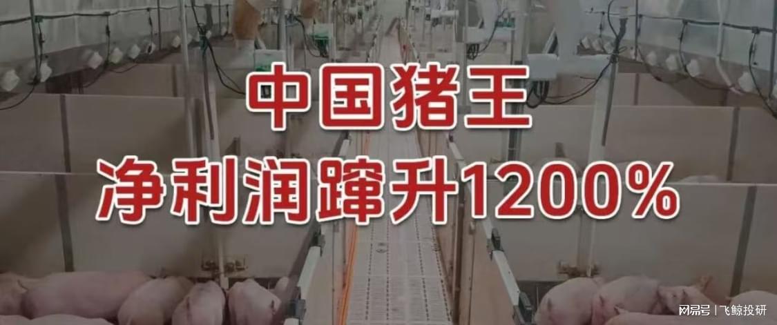 净利润激增1200%！牧原股份：中国猪业巨头如何逆袭成财大气粗的领跑者