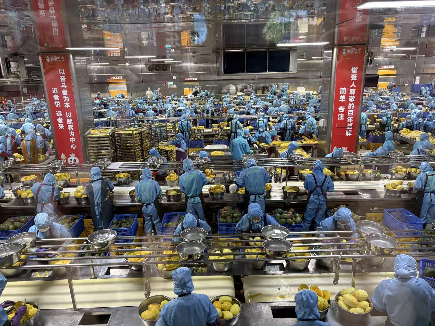蜜雪冰城广西基地日加工300吨鲜果，揭秘高效供应链与品质保障