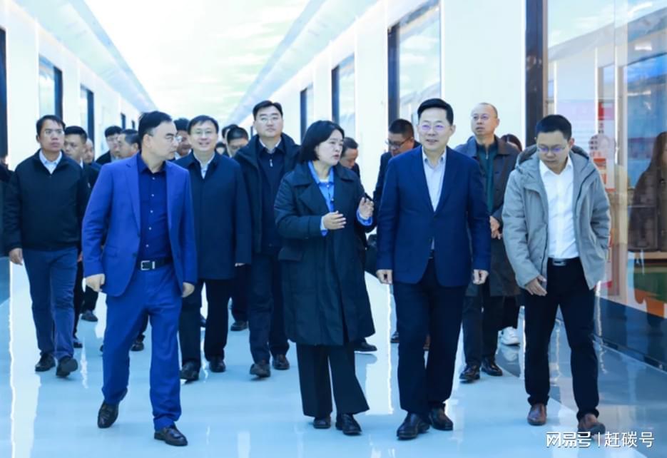 润阳股份重生启示：光伏产业去产能下的地方国资角色