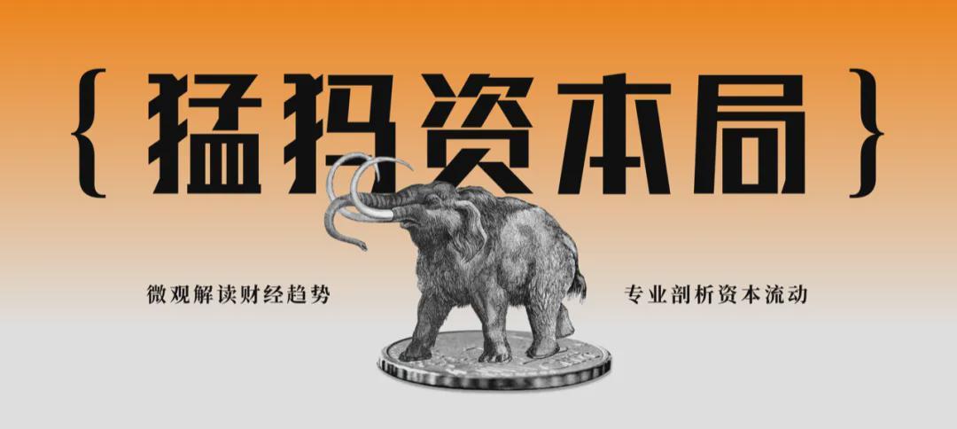 迈瑞医疗115亿商誉压顶，海外并购加速能否破局？