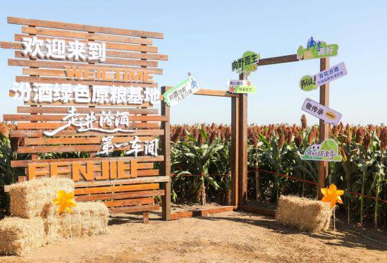 黑土沃野育红粱：汾酒原粮基地扎根吉林梨树县探秘