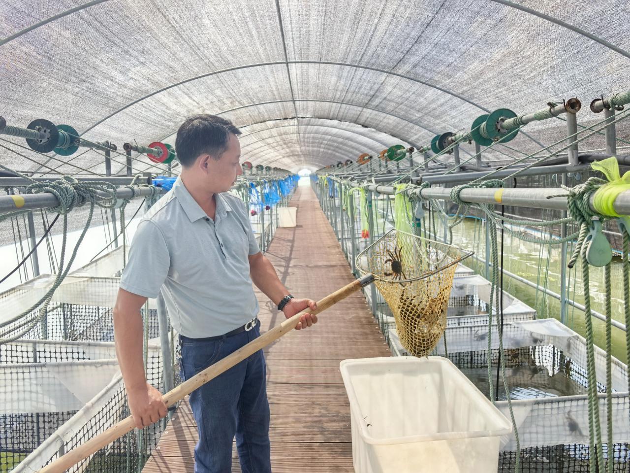 2025年大闸蟹选购指南：盒马电子验蟹师如何保障品质