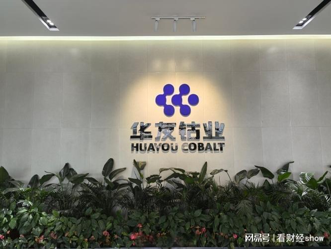 四年逆袭：华友钴业市值破千亿，业绩与估值双升