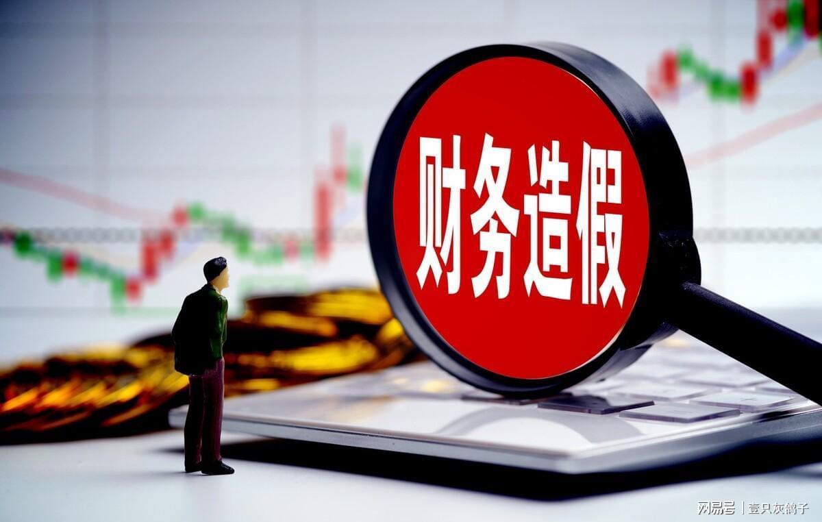 A股惊现14亿财务造假仅罚30万！法律修订背后的无奈真相