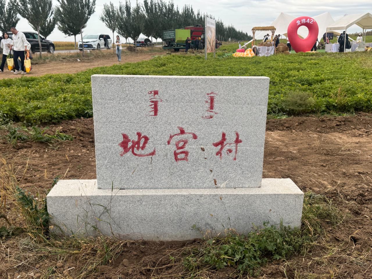探秘花生酥制作：从田间到舌尖的匠心之旅