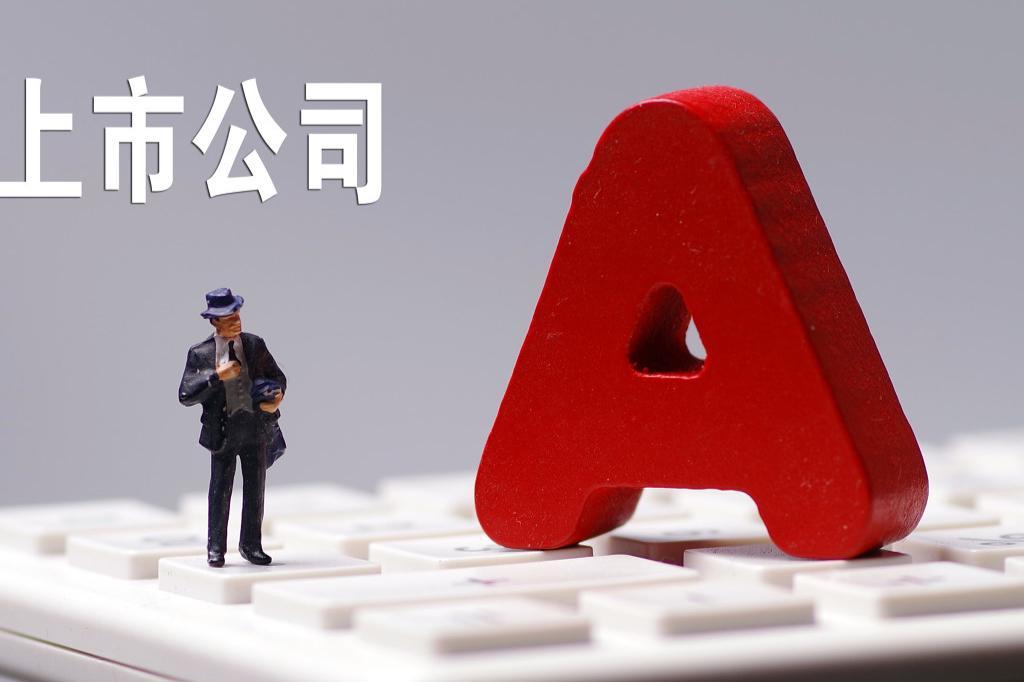 联瑞新材可转债募资额缩水至6.95亿，聚焦高端粉体项目