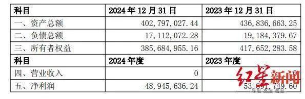 匹克公司财务数据