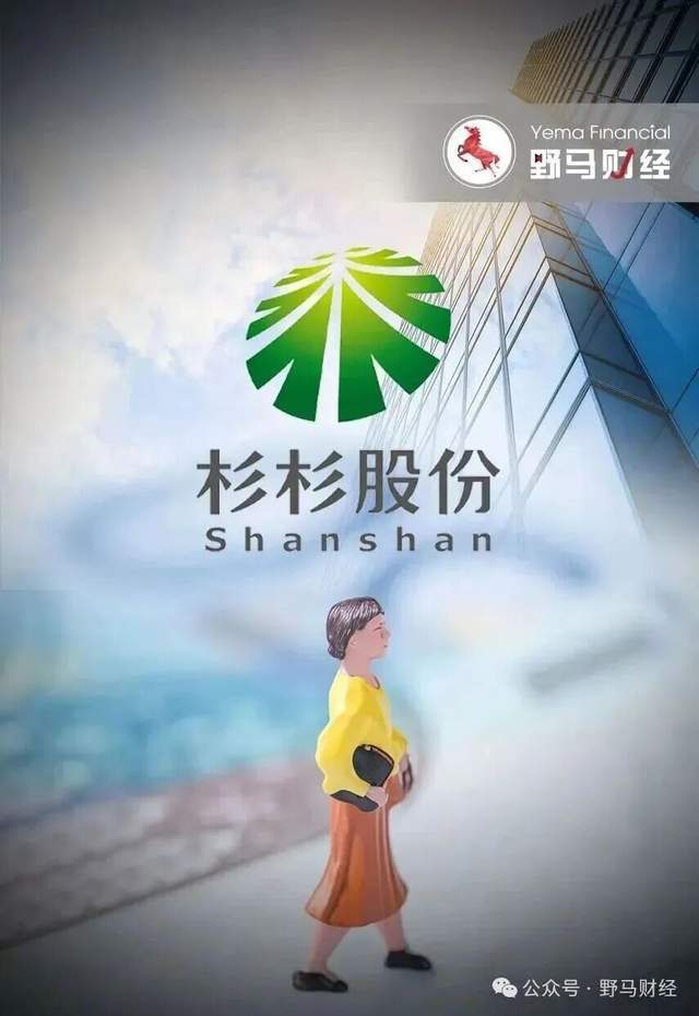33亿撬动695亿！“民营船王”任元林欲接盘“杉杉系”