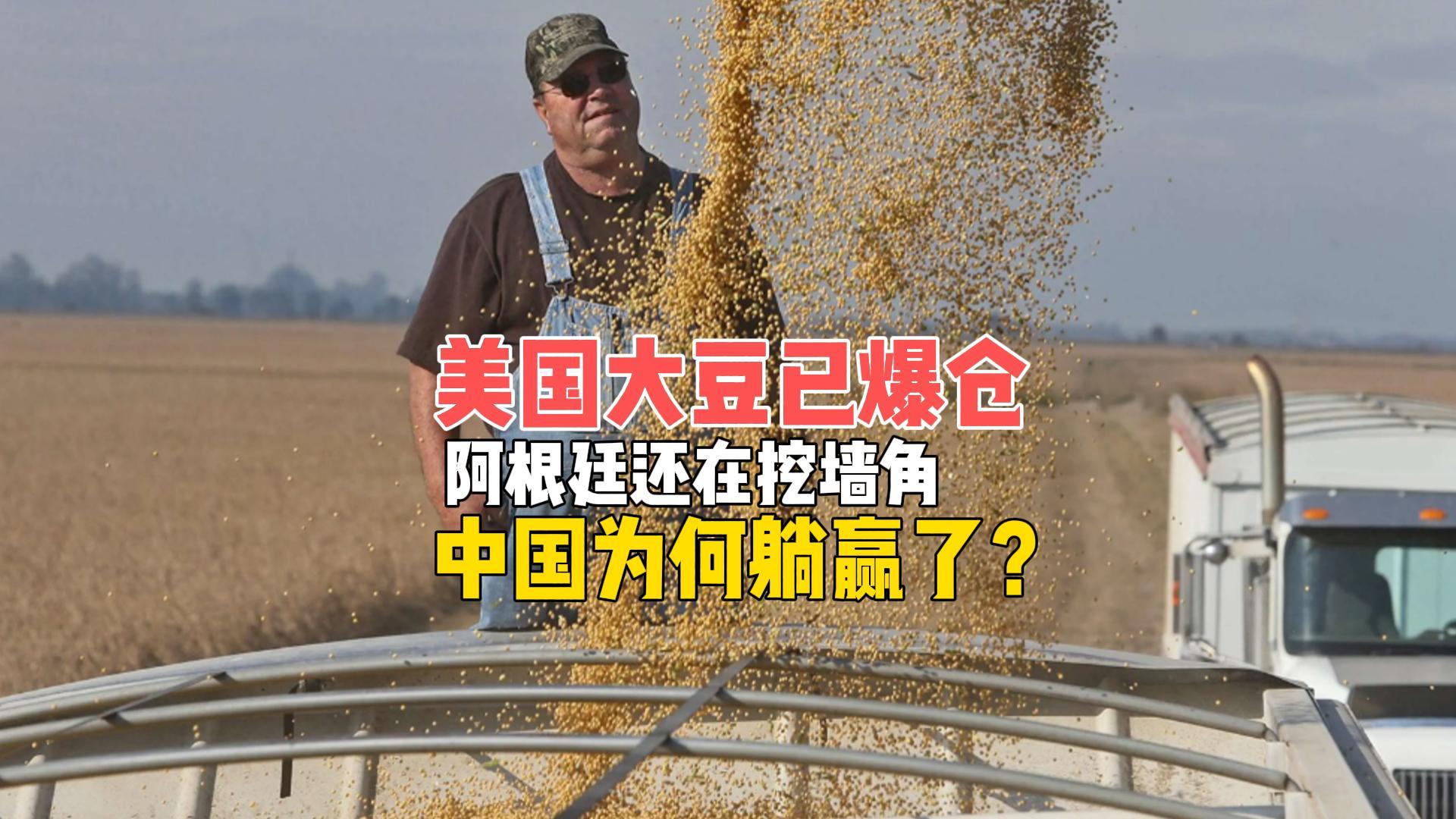 美国大豆滞销危机：阿根廷搅局与中国如何成为赢家