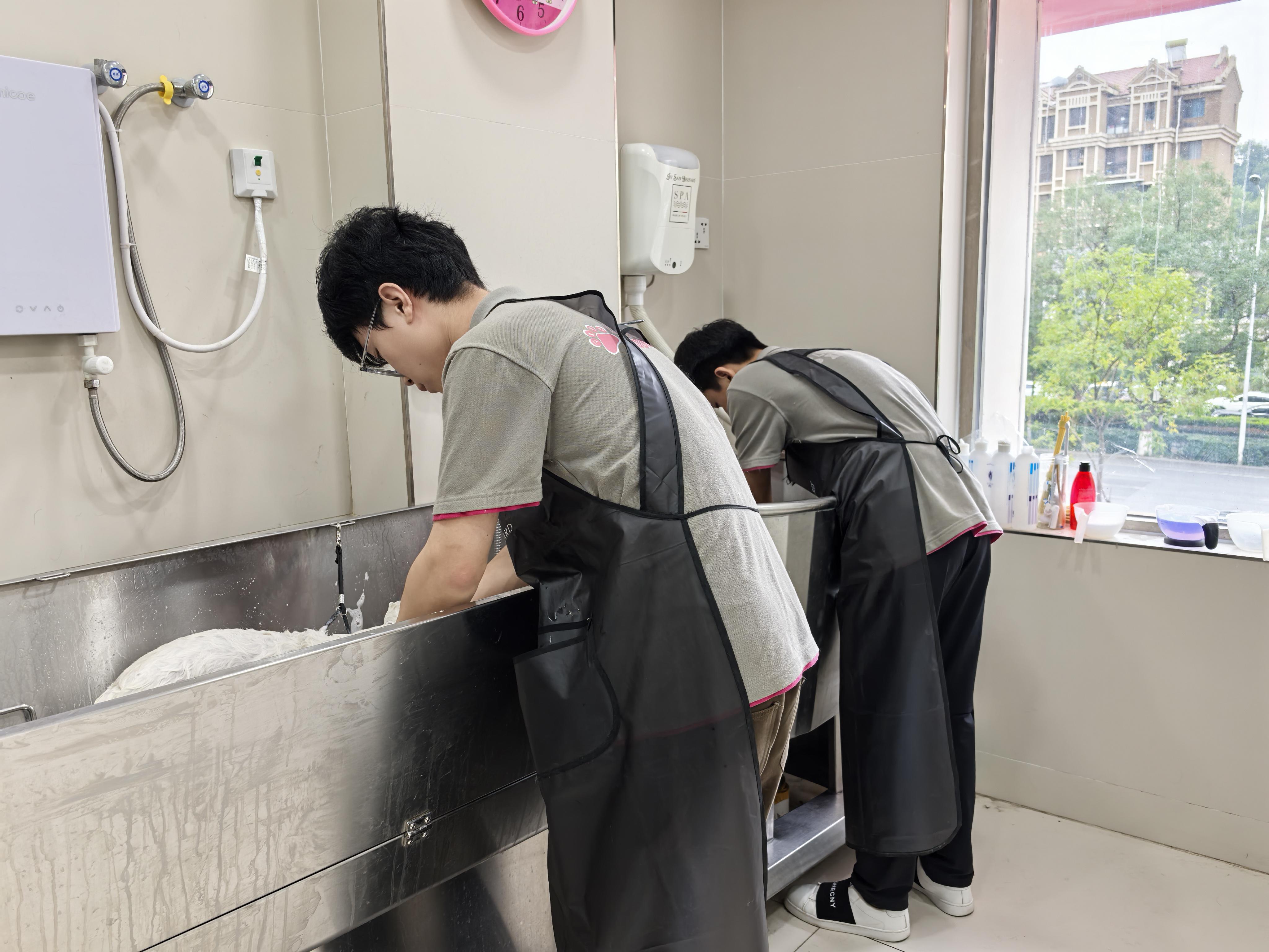 鞍山双节宠物热：小兜宠物生活馆假期服务火爆，洗护寄养成新宠