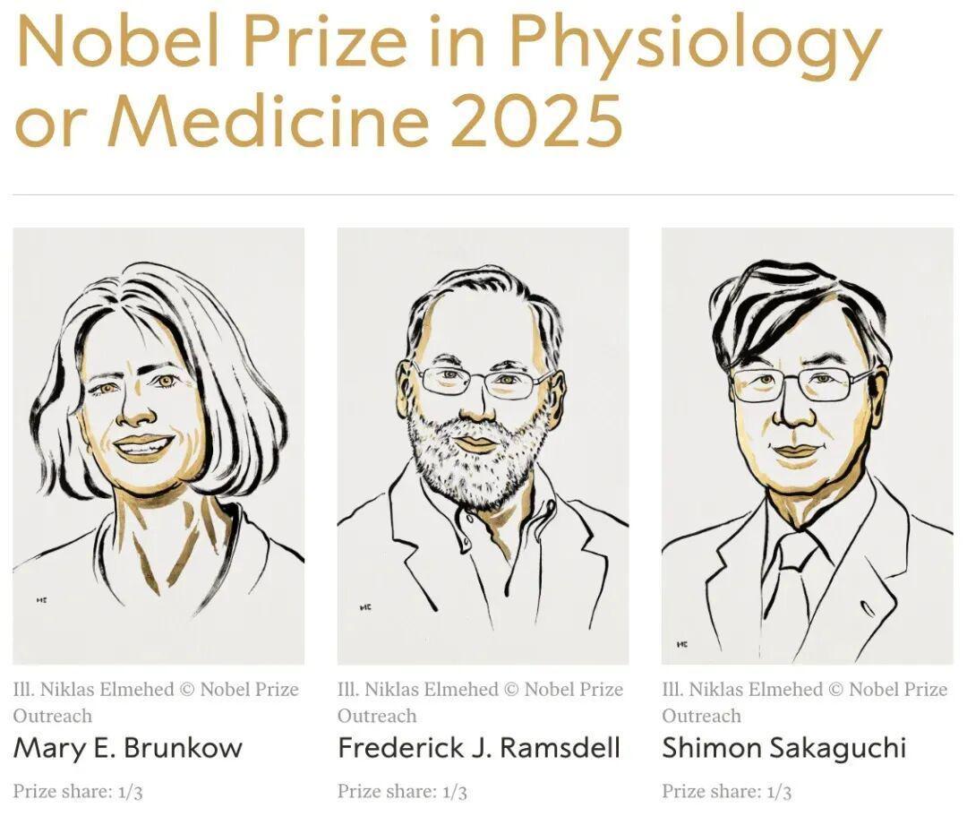 2025诺奖揭晓：科学家预言20年内人类攻克癌症