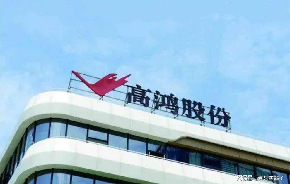 A股知名央企退市：高鸿股份33天跌停，8万股民损失惨重