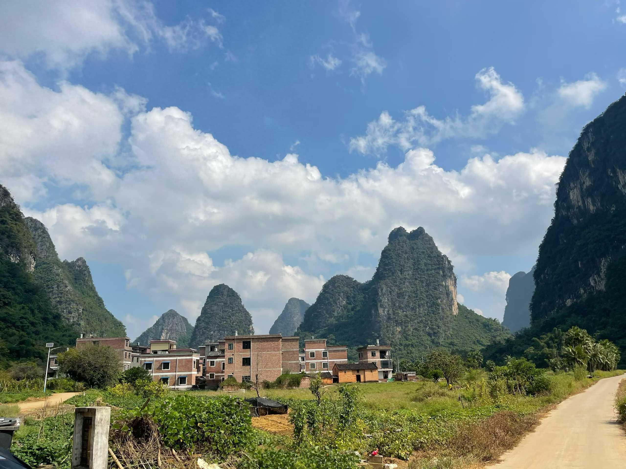 法狮龙高层大换血：7位高管变动，控股股东转让25%股权