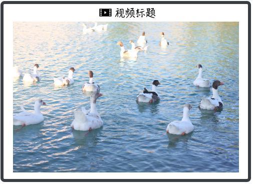 “美国宇树”发布Figure 03：擅长打扫屋子、洗衣服和送包裹