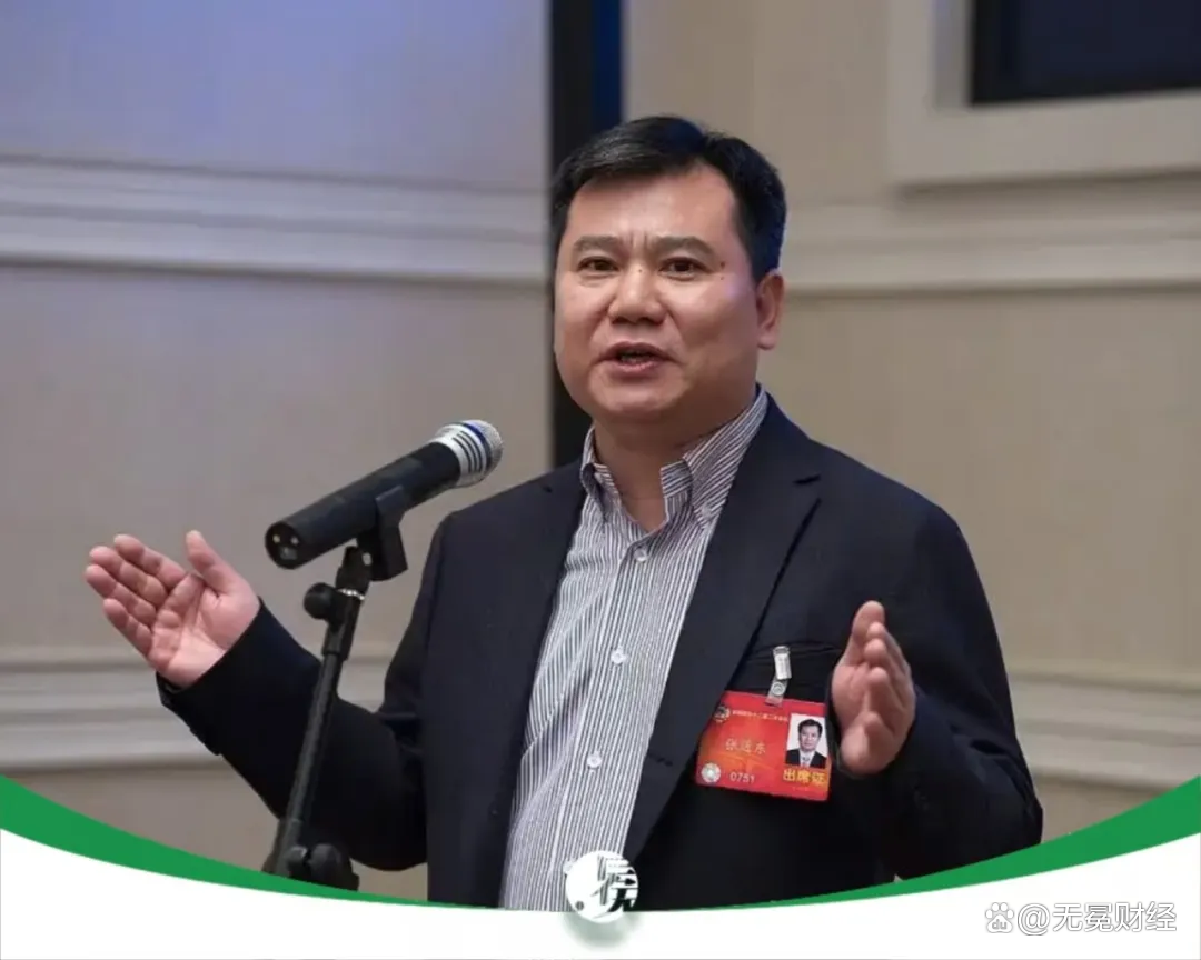 张近东提前引爆双11：苏宁千亿负债下的生死自救战
