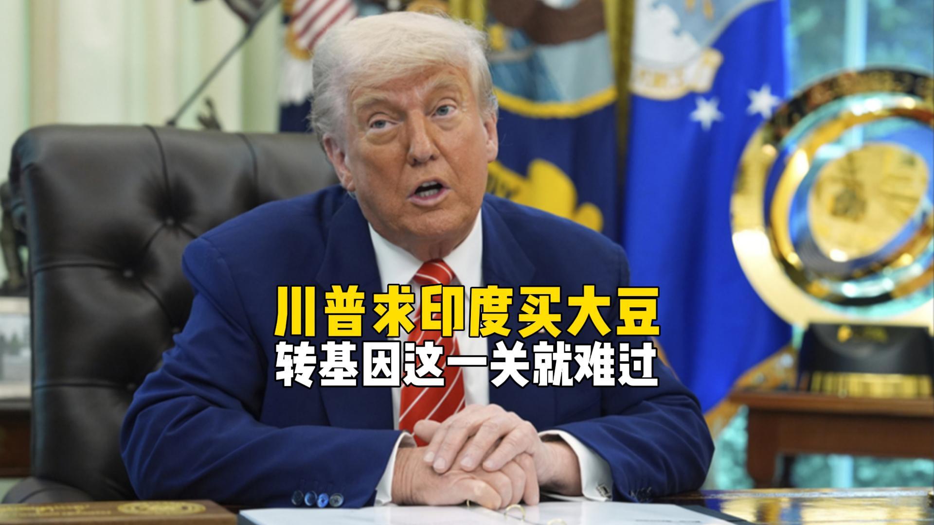 中国暂停进口美国大豆，特朗普转求印度市场遇阻