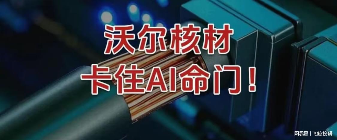 沃尔核材：AI时代的铜连接领军者