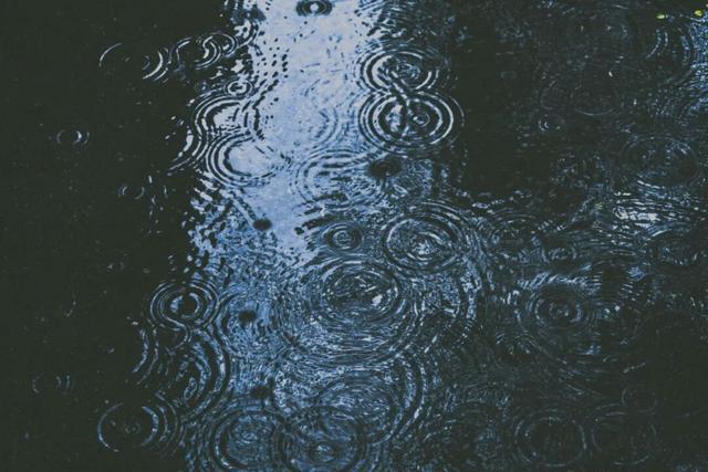 阴雨天气频发，秋收秋种面临哪些挑战与应对策略？