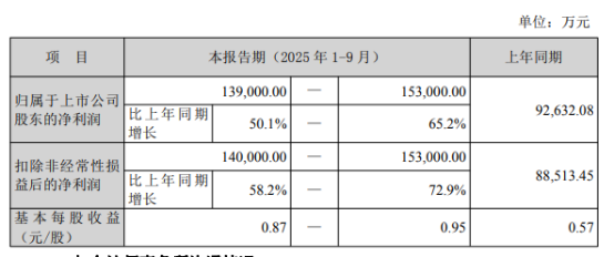 横店东磁2025年净利润或现下滑，印尼光伏业务面临挑战