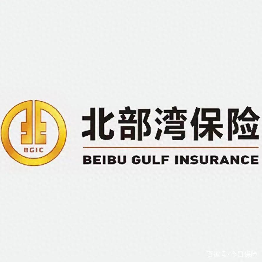 北部湾财险新董事长林峰履新，首遇41万罚单考验