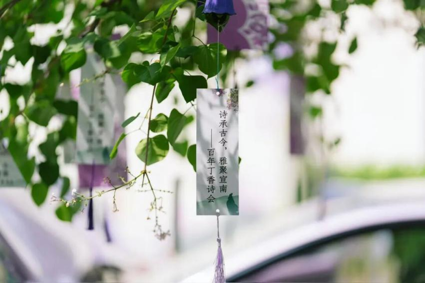 旧书遇新知，青春满诗意，西城区两大文化联盟创意联动