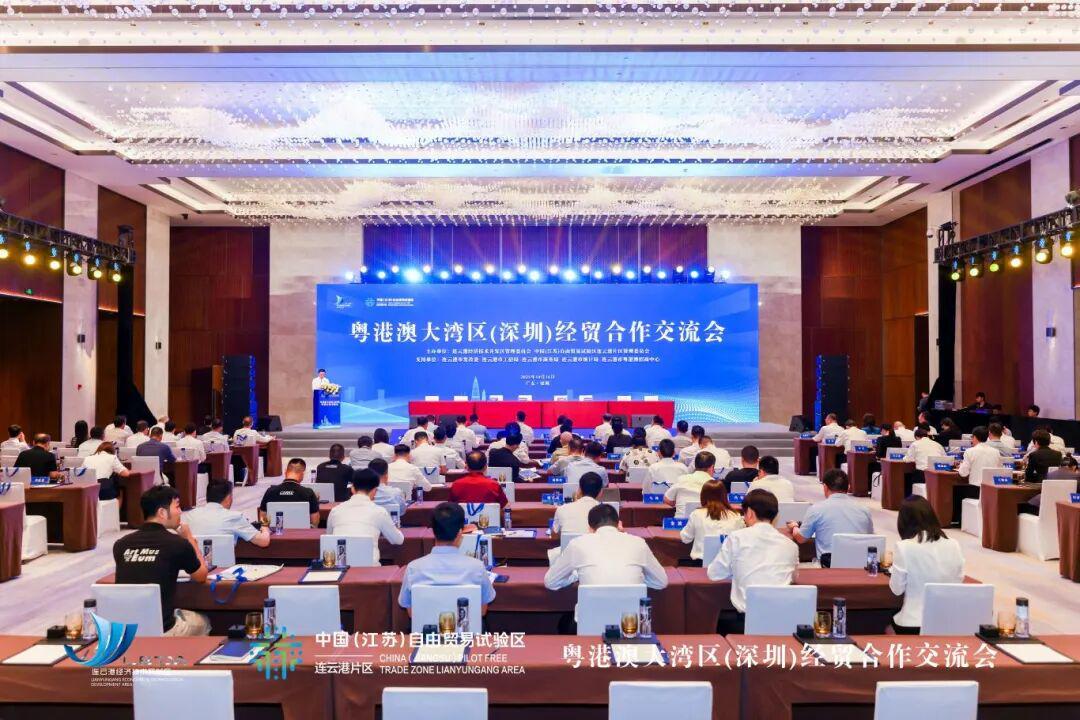连云港与粤港澳大湾区：跨越千里的产业协同新篇章