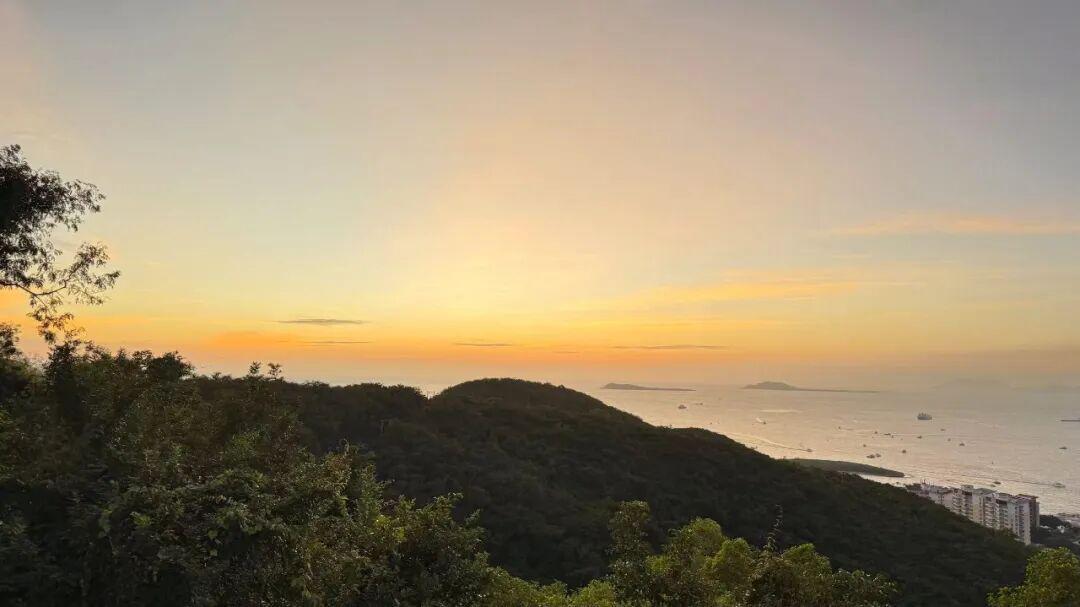 海南华铁37亿算力订单蒸发：证监会立案调查，市场疑云重重