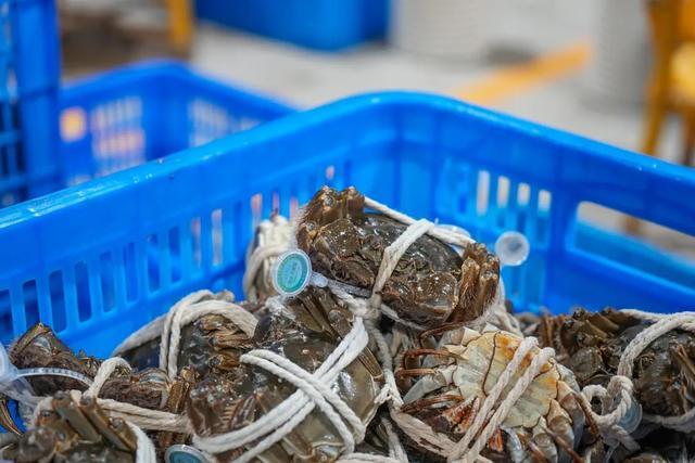 江苏小伙年销5亿大闸蟹，仅4个月销售额登顶多个平台