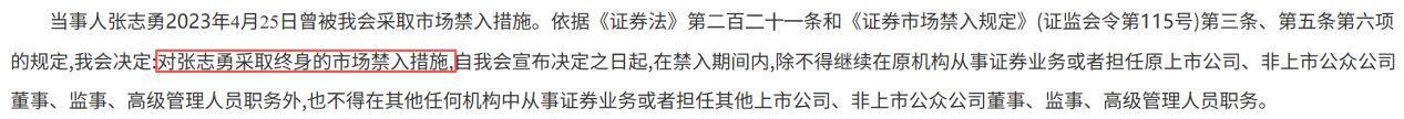 证监会处罚决定