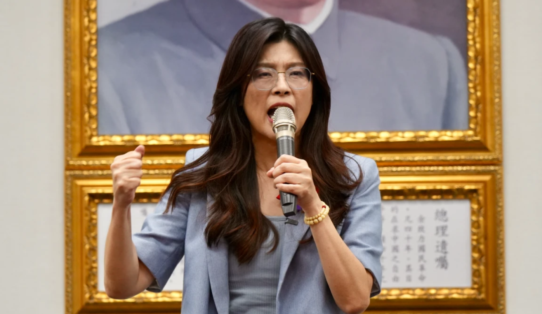 郑丽文当选国民党主席：从“绿营名嘴”到蓝营舵手的政坛传奇