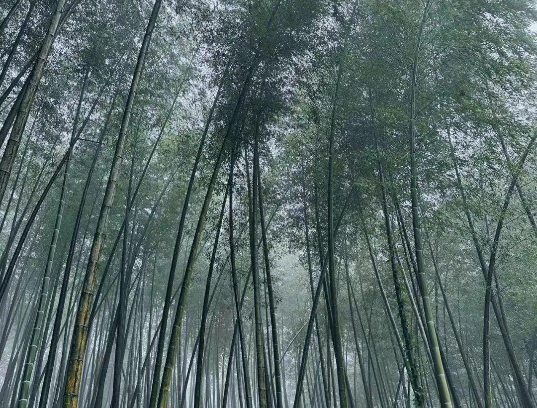 企查查上市前技术存疑：保荐人信息查不准，错误率该公开吗？