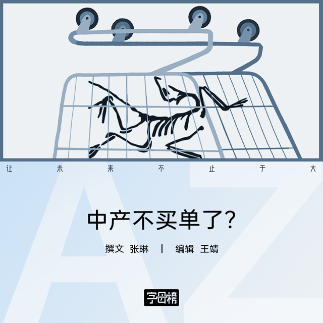 始祖鸟跌出双11预售20强：品牌危机与增长焦虑的双重挑战