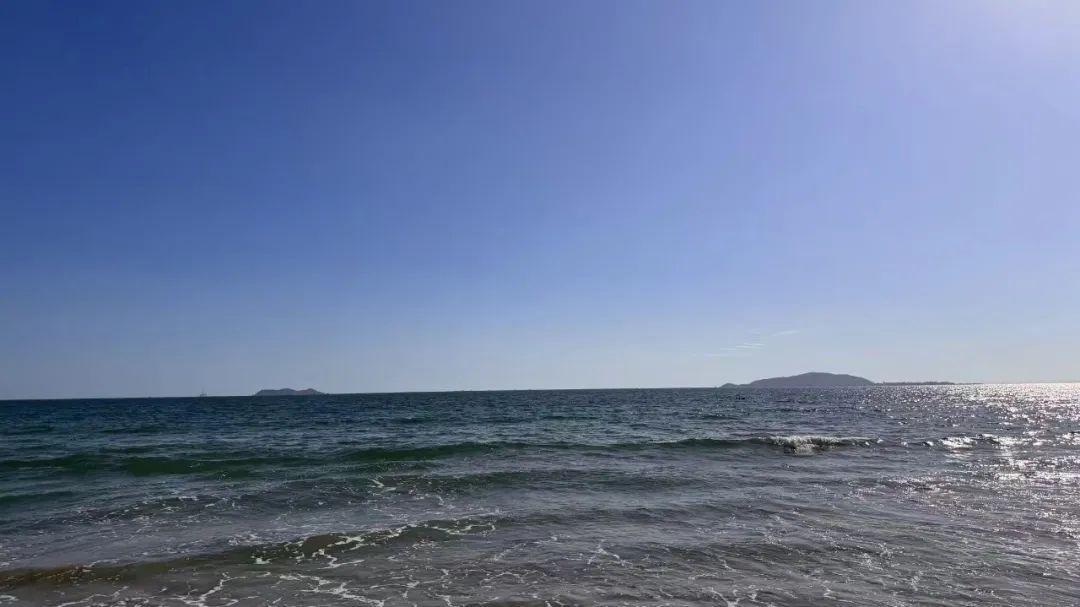 协创数据122亿算力大单背后：小马能否拉动大车？