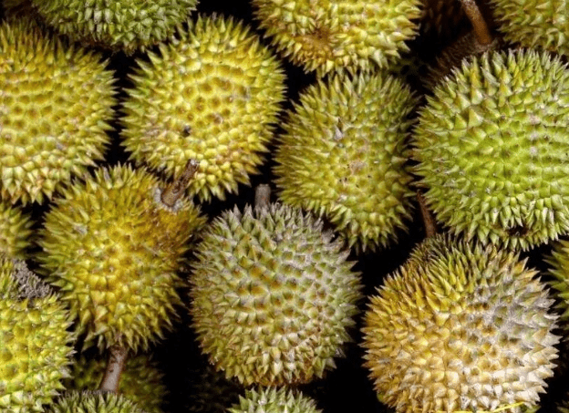 从巅峰到退市边缘：“水果大王”洪九果品如何跌落神坛