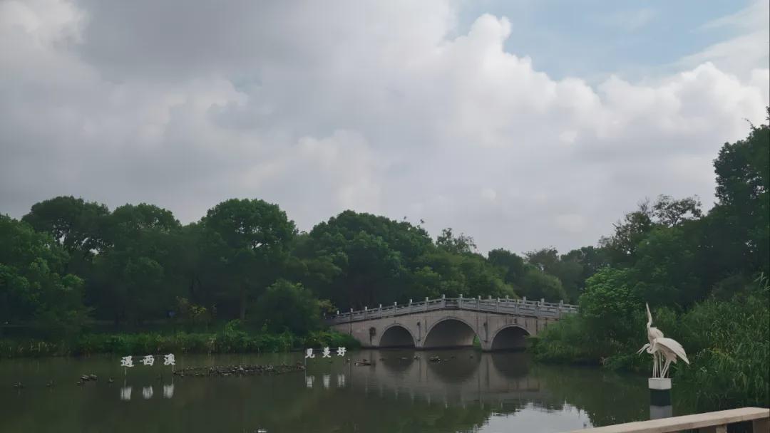 特斯拉2025Q3财报解析：繁荣表象下的战略转型与深层挑战