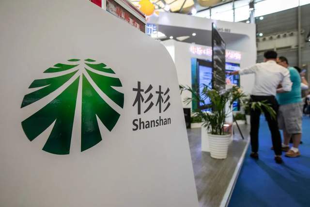 杉杉集团重整：资本玩家入局背后的产业安全隐忧