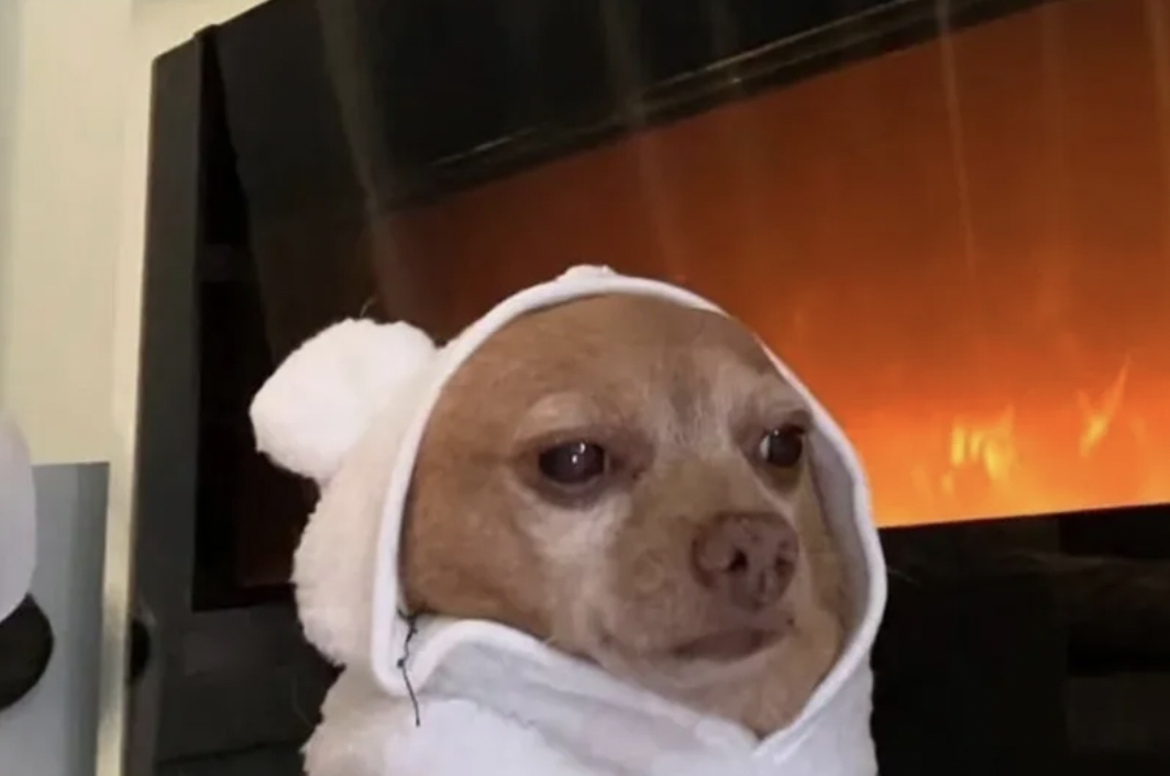 江浙沪独生女降温第一站：海宁皮革城