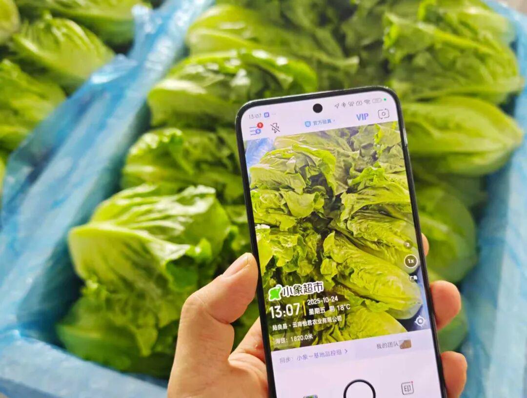 小象超市云南产地直发仓