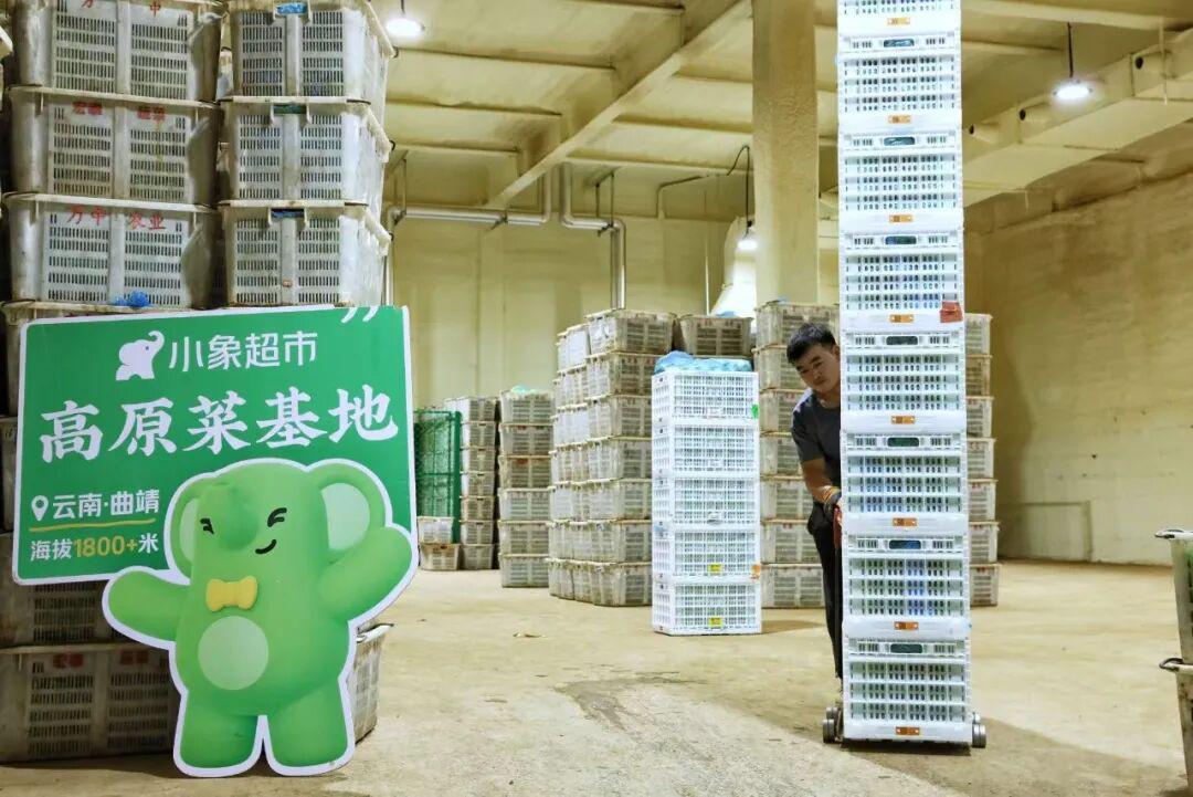 小象超市云南产地直发仓内景