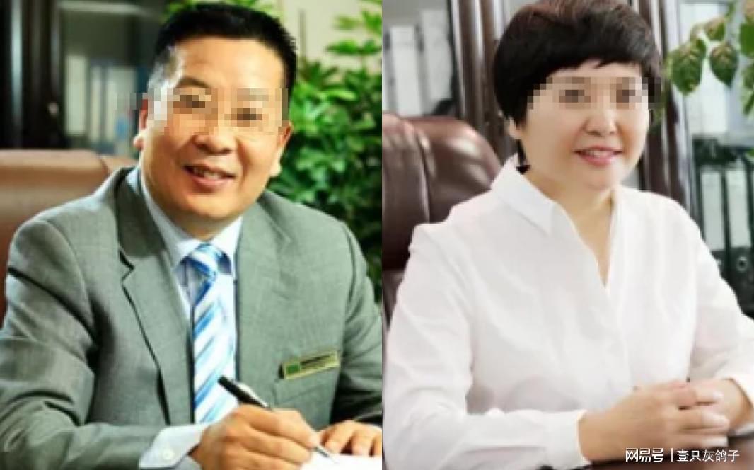 洛阳富豪夫妻“分灶”记：丈夫套现5亿另辟赛道，妻子坚守家业