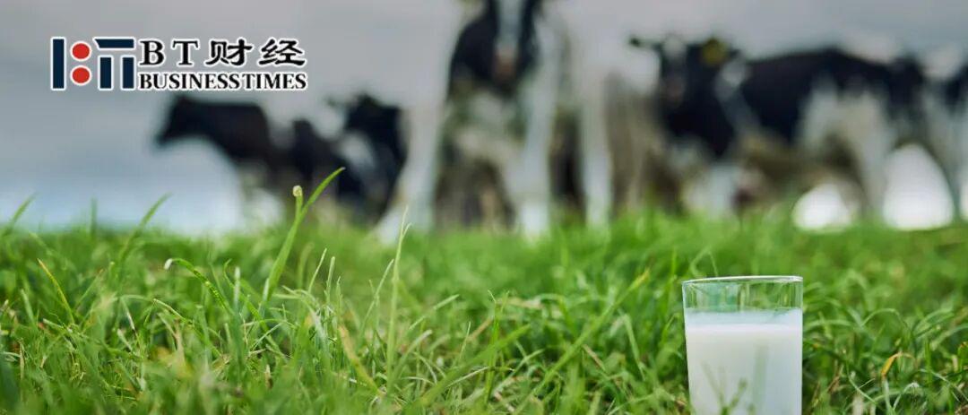 蒙牛VS伊利：法律纠纷与业绩差距背后的乳业双雄之争