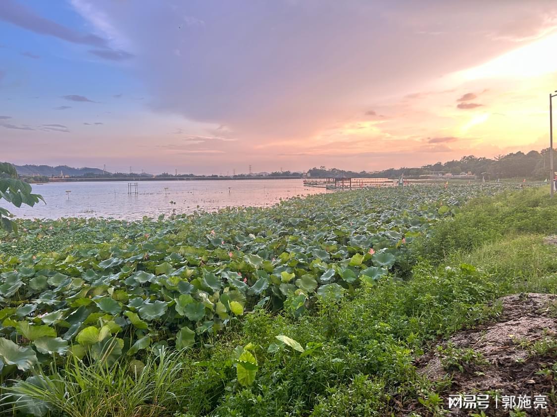 茅台再换帅：未来突破口与行业拐点分析
