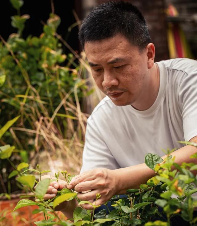 福建小伙放弃国企铁饭碗，创业卖花茶年入500万