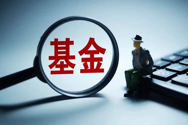 基金经理杨宁嘉：老鼠仓交易与业绩崩塌的真相