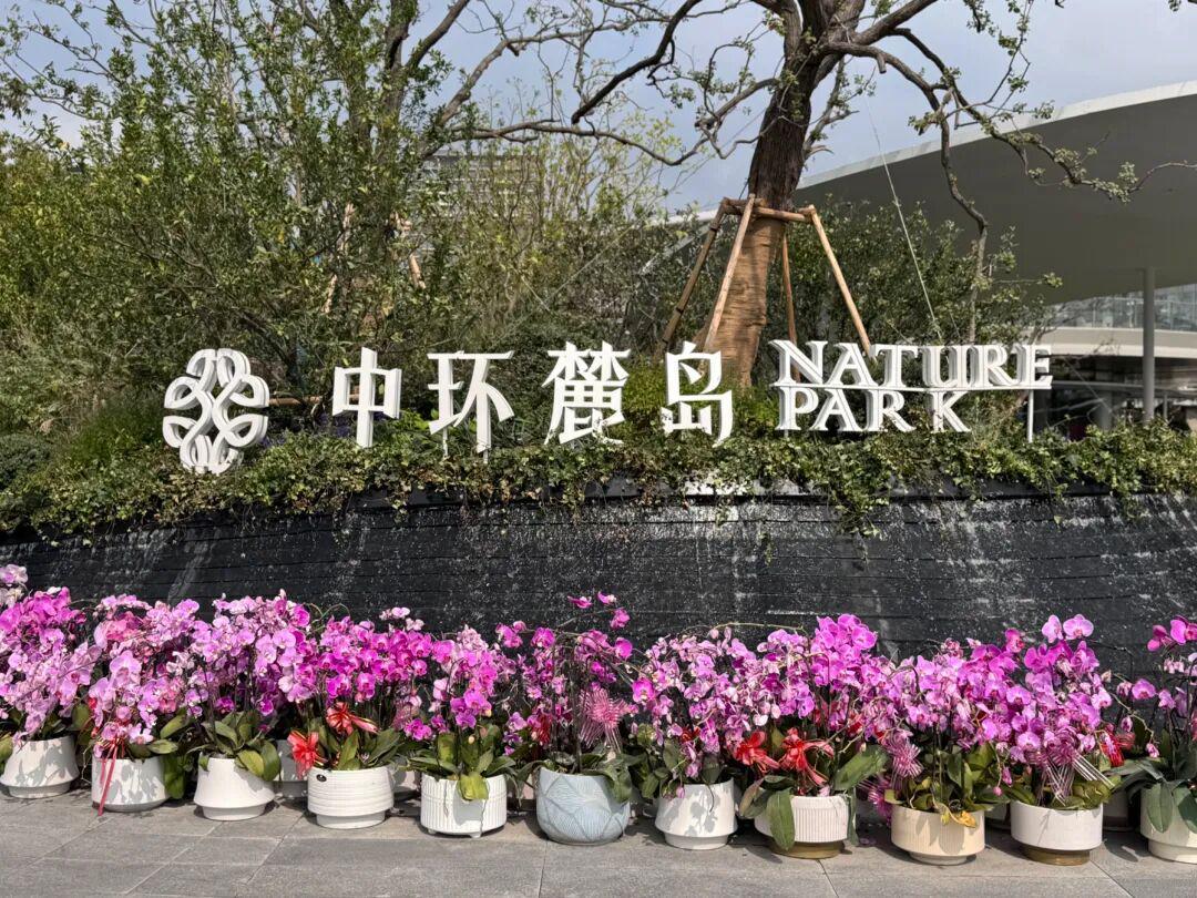 中环麓岛高得房率揭秘：阳台改造卧室背后的市场逻辑