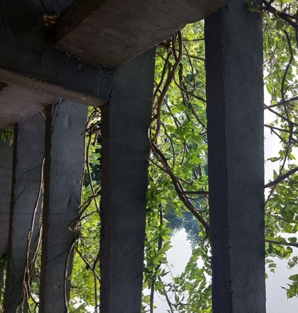 商业模式差异如何影响企业盈利能力？