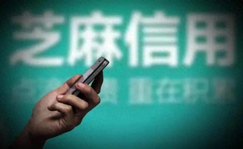 芝麻企业信用实力标升级：携手11大平台开启绿通服务新篇章