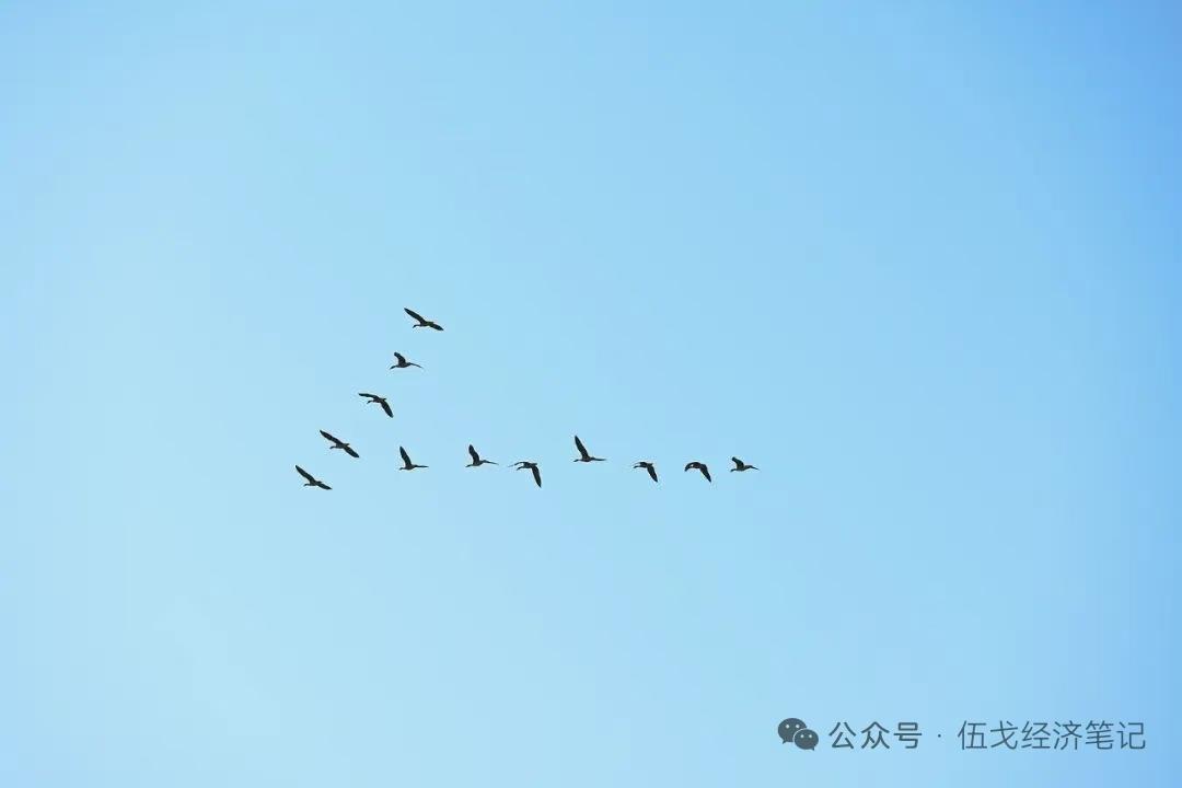 伍戈深度解析：中国经济出口超预期背后的逻辑与未来展望