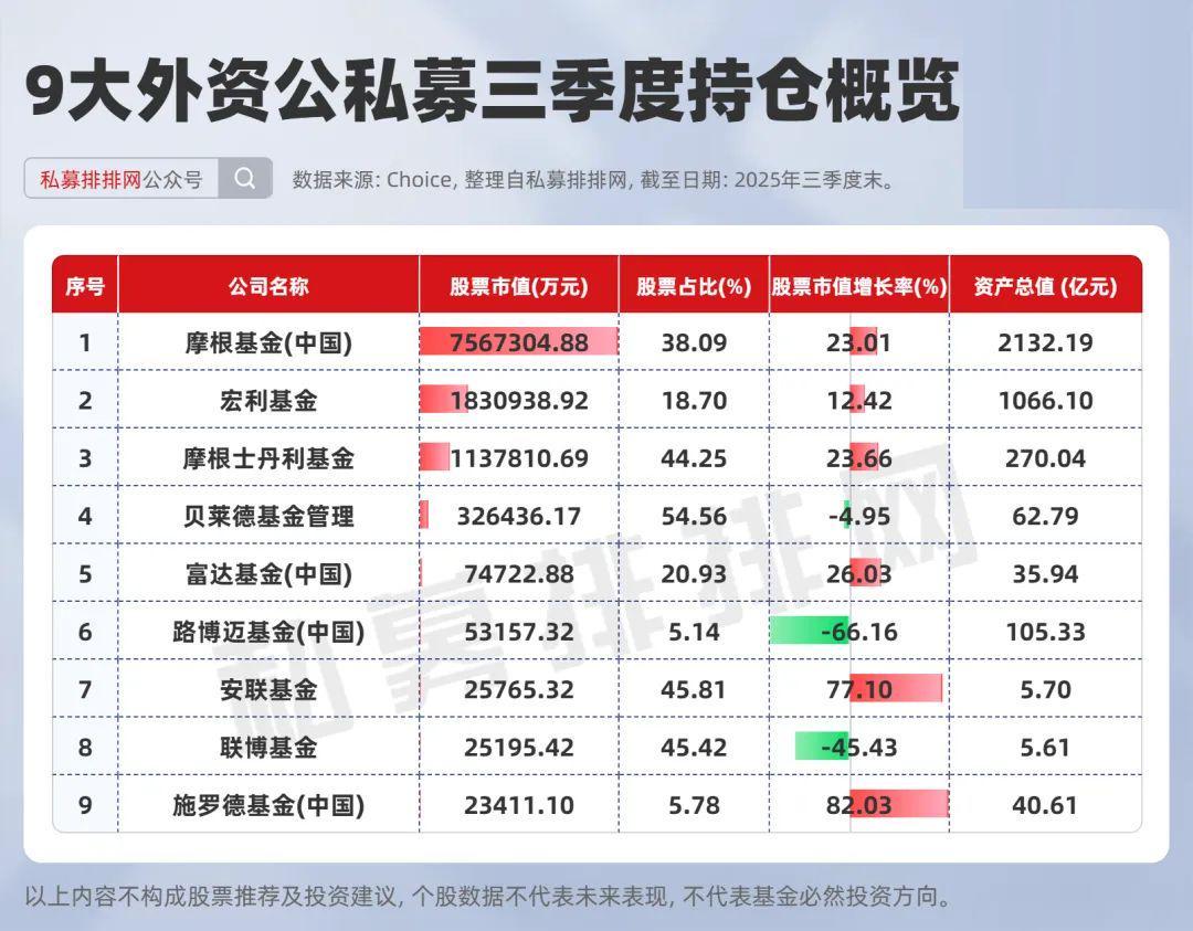 大摩、小摩、贝莱德等9大外资公募持仓曝光：AI科技成投资新宠